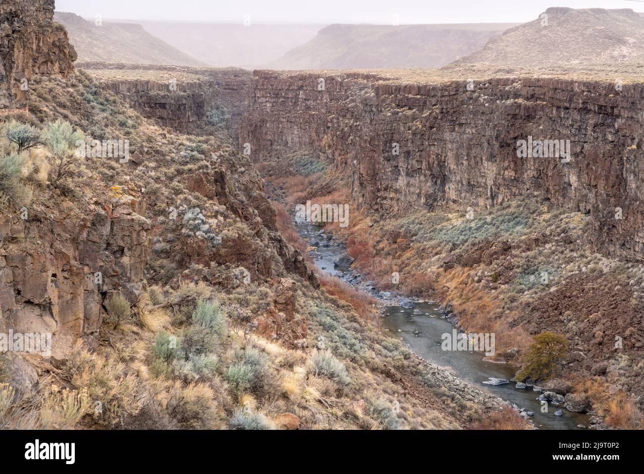 USA, Idaho. Nebliger Frühlingsmorgen in der Schlucht von Salmon Falls Creek. Stockfoto