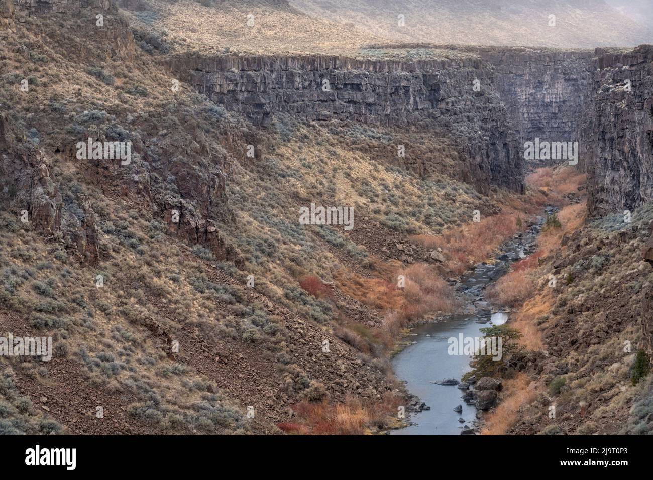 USA, Idaho. Nebliger Frühlingsmorgen in der Schlucht von Salmon Falls Creek. Stockfoto