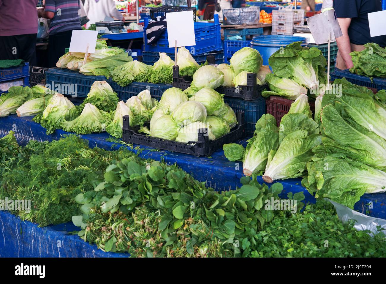 Grüne Lebensmittel mit leeren Etiketten auf dem Stall eines Bauernmarktes. Stockfoto
