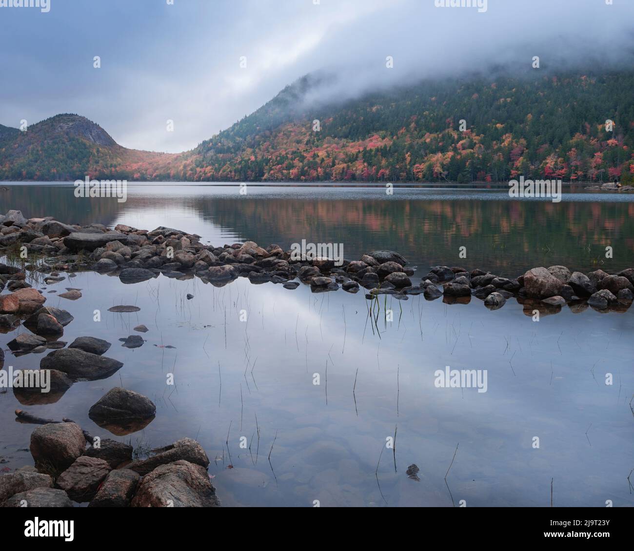 USA, Maine, Acadia National Park. Berg- und Waldspiegelungen im See. Stockfoto