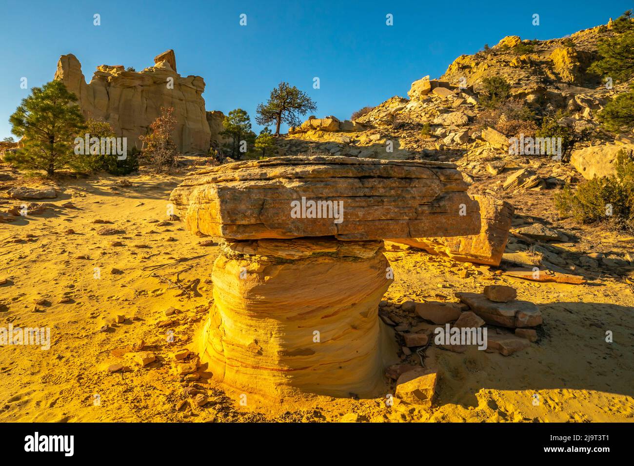 USA, New Mexico, ojito Wilderness. Erodierte Wüstenfelsen und -Formationen. Stockfoto