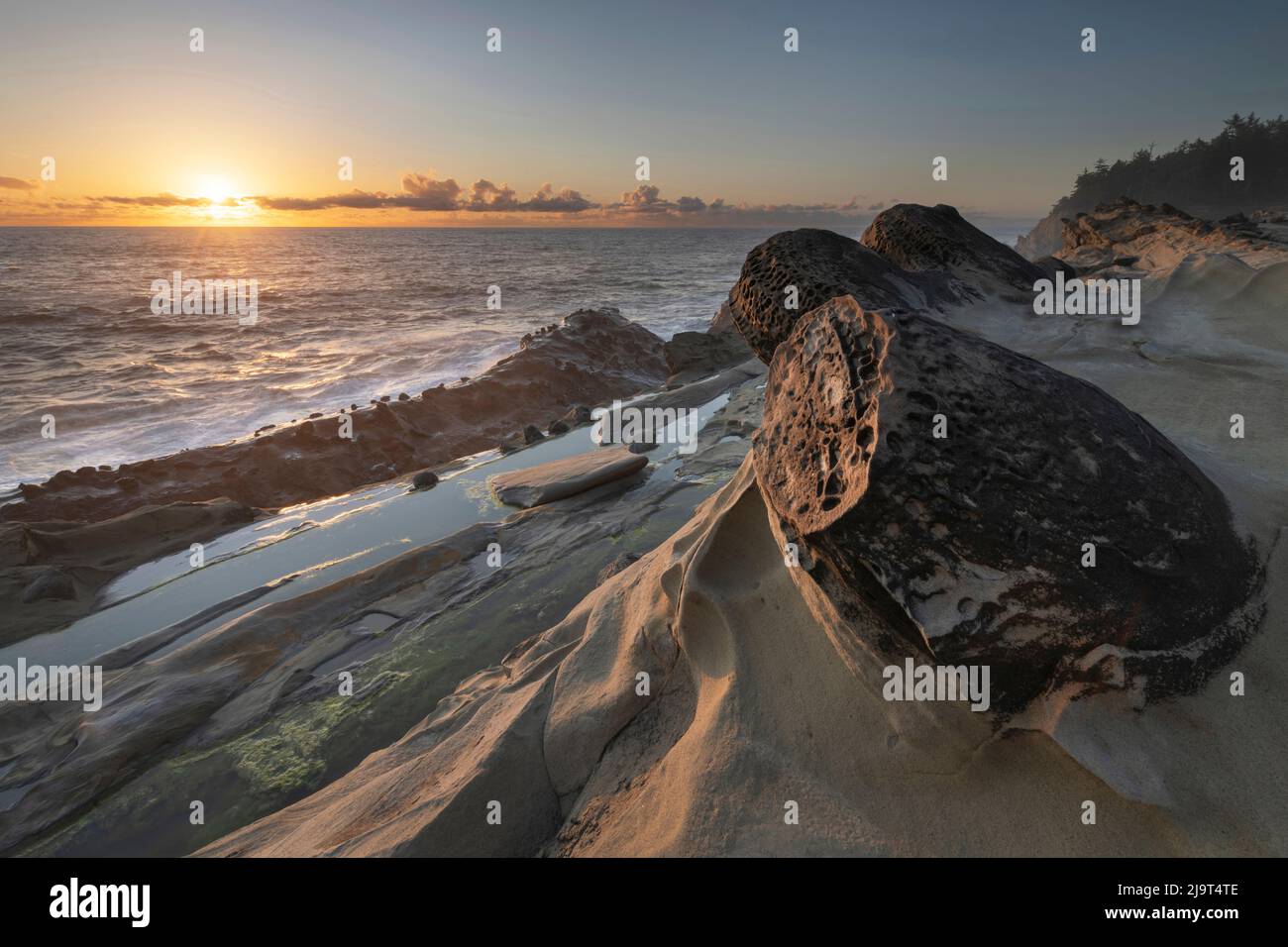 Mineralbetonungen im Shore Acres State Park, Oregon. Stockfoto