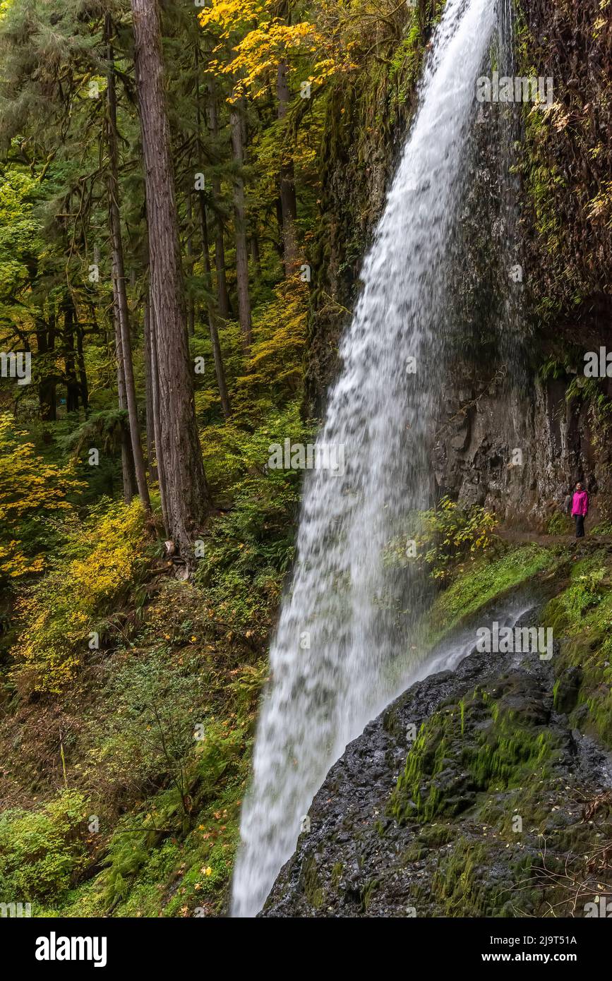 USA, Oregon, Silver Falls State Park. Wasserfall-Landschaft der Lower South Falls. Stockfoto