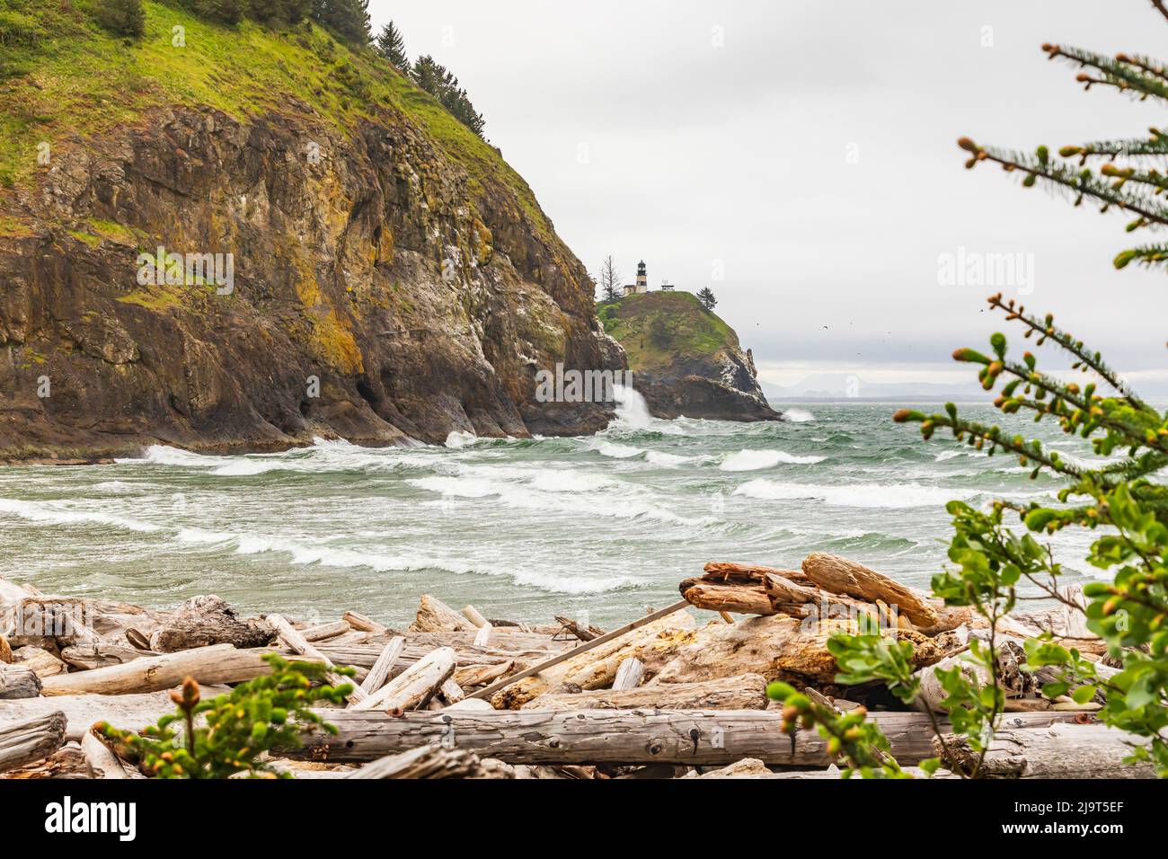Cape Disappointment State Park, Washington State, USA. Surfen Sie im Cape Disappointment State Park auf den Felsen. Stockfoto