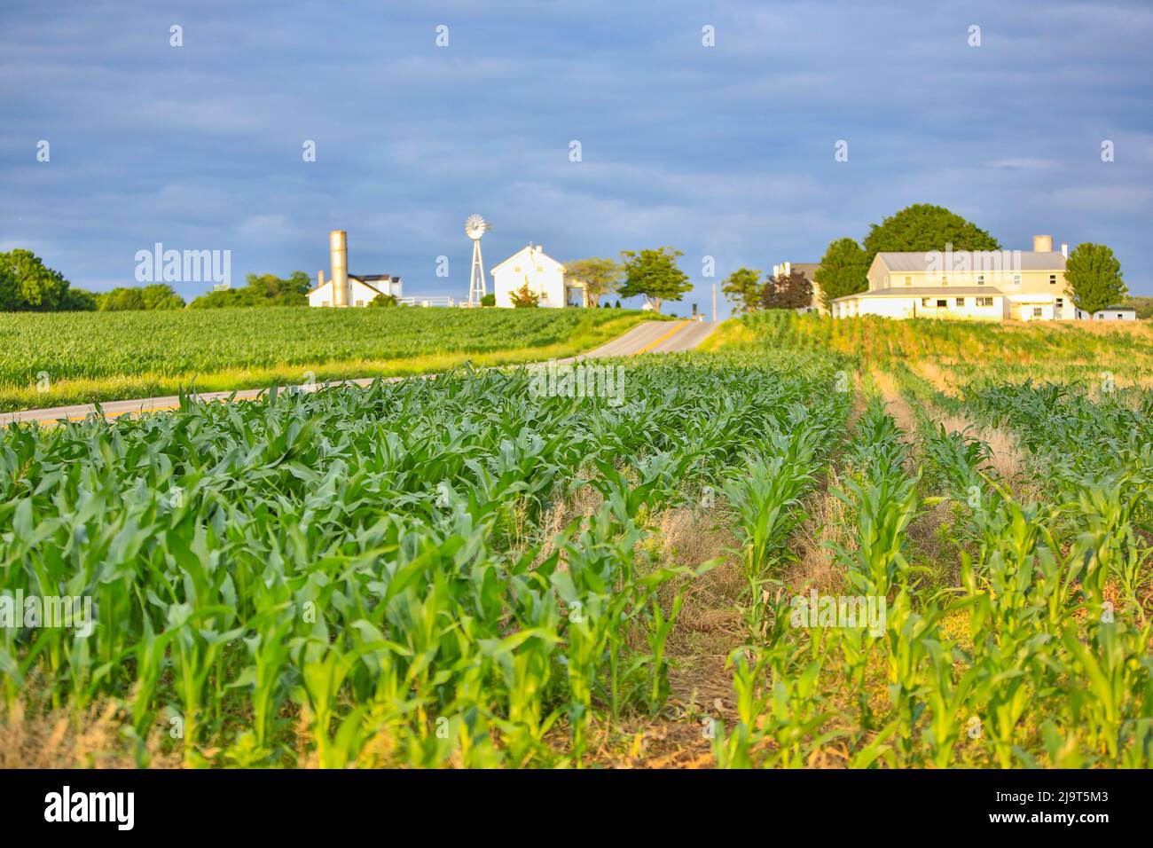 Lancaster, Pennsylvania, USA. Bauernhof. Stockfoto
