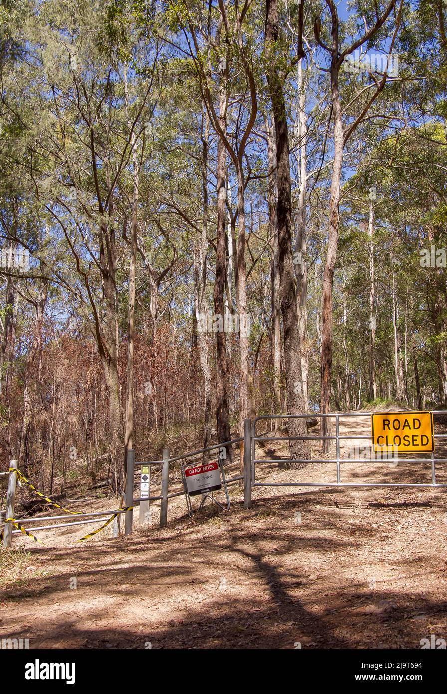Ende der Straße im Eukalyptuswald. Tor blockiert raue Spur. Kein Zugang zum Fahrzeug. Mountainbike-Pfad geschlossen. Trocken, sonnig, Queensland, Australien. Stockfoto