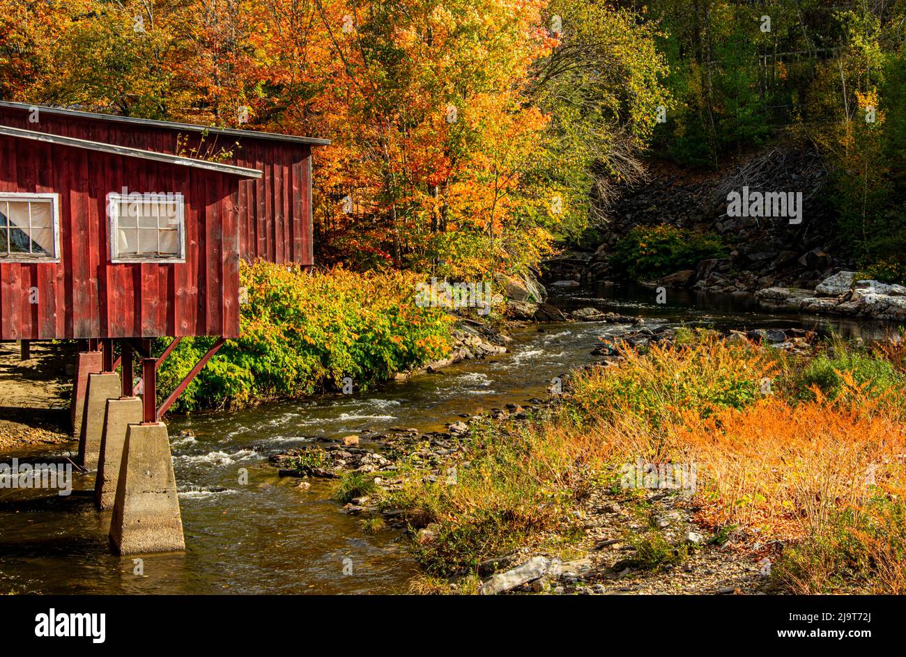 USA, Vermont, Stowe, rote Mühle am Little River, die südlich von Stowe zum Winooski River fließt, Herbstlaub Stockfoto