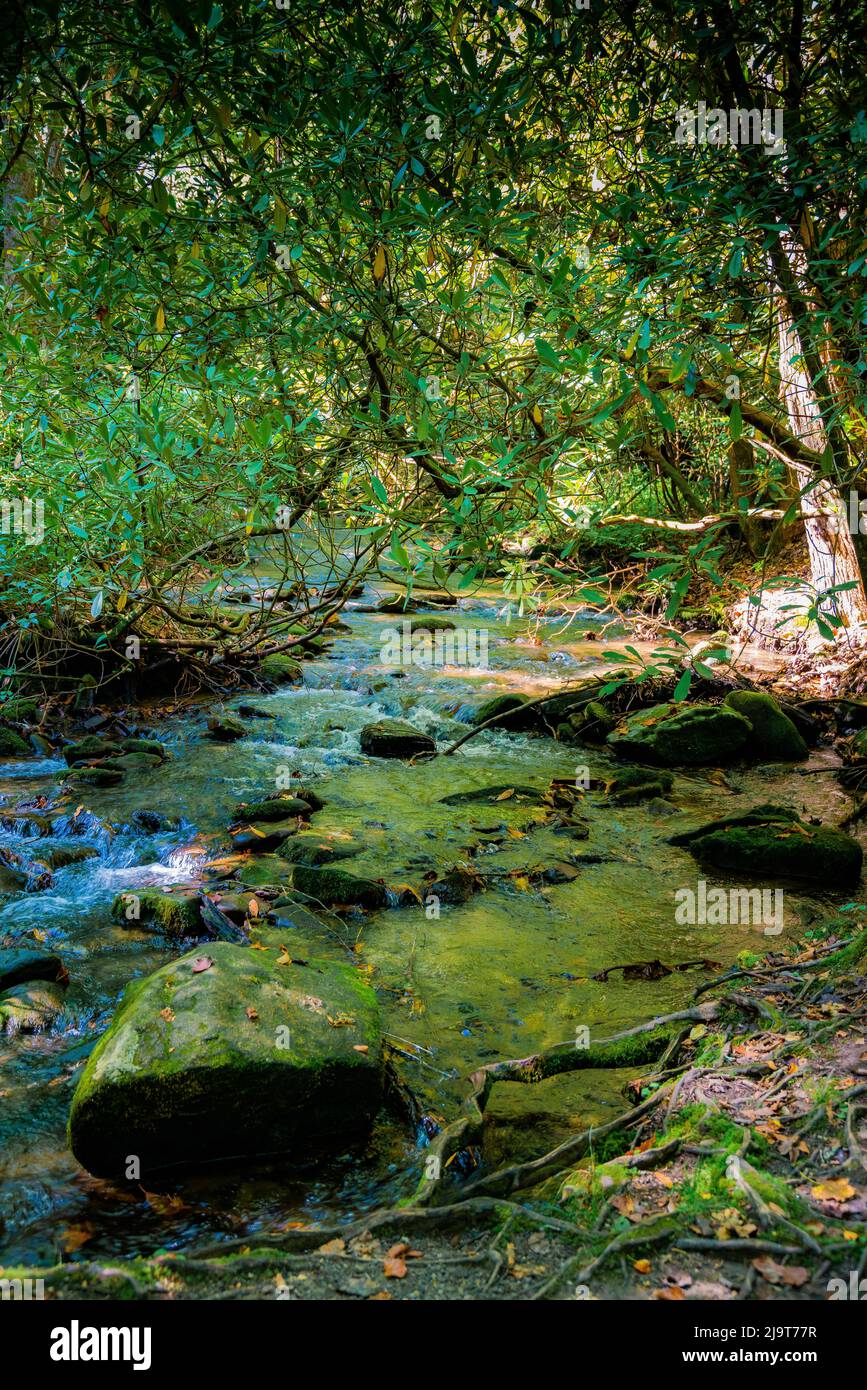 Creek auf dem Weg nach Mingus Mill, Virginia Stockfoto