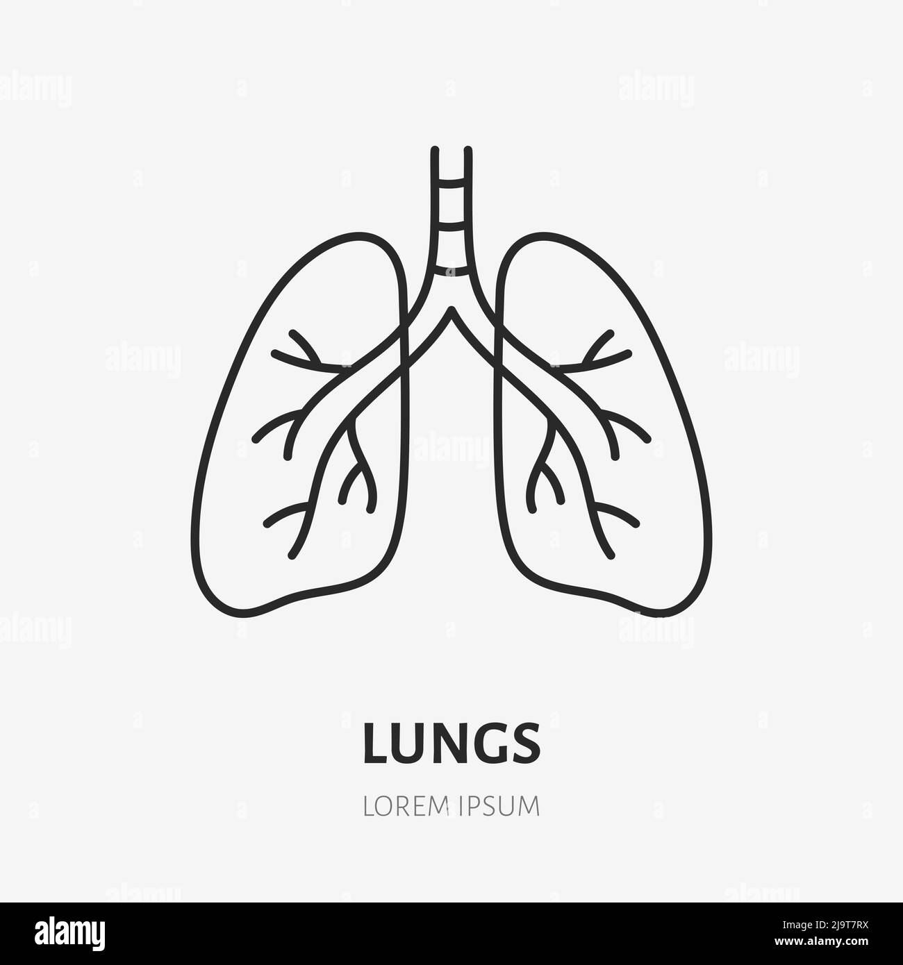 Symbol für die Doodle-Linie der Lunge. Vektor dünne Umrissdarstellung des menschlichen inneren Organs. Schwarzes lineares Farbzeichen für das Atmungssystem Stock Vektor
