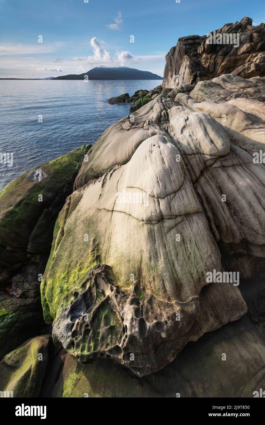 Samish Bay Wildcat Cove Larrabee State Park, Washington State. Stockfoto