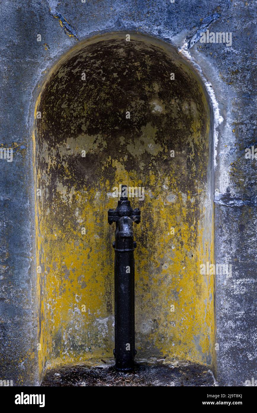 USA, Washington State, Fort Flagler State Park. Detail der verwitterten Nische. Stockfoto