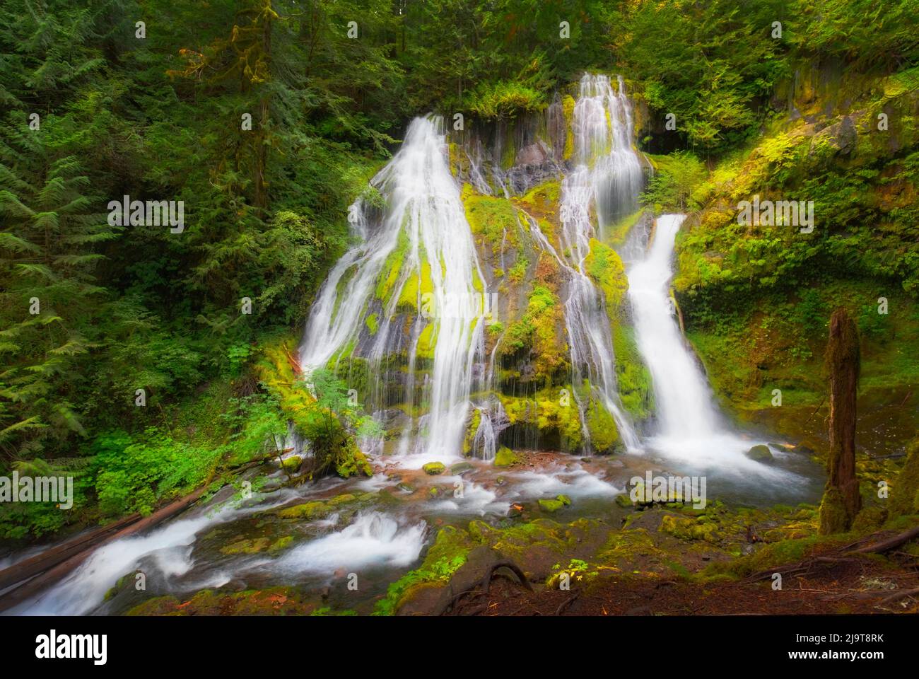 USA, Staat Washington, Gifford Pinchot National Forest. Panther Creek Falls entlang Panther Creek. Stockfoto