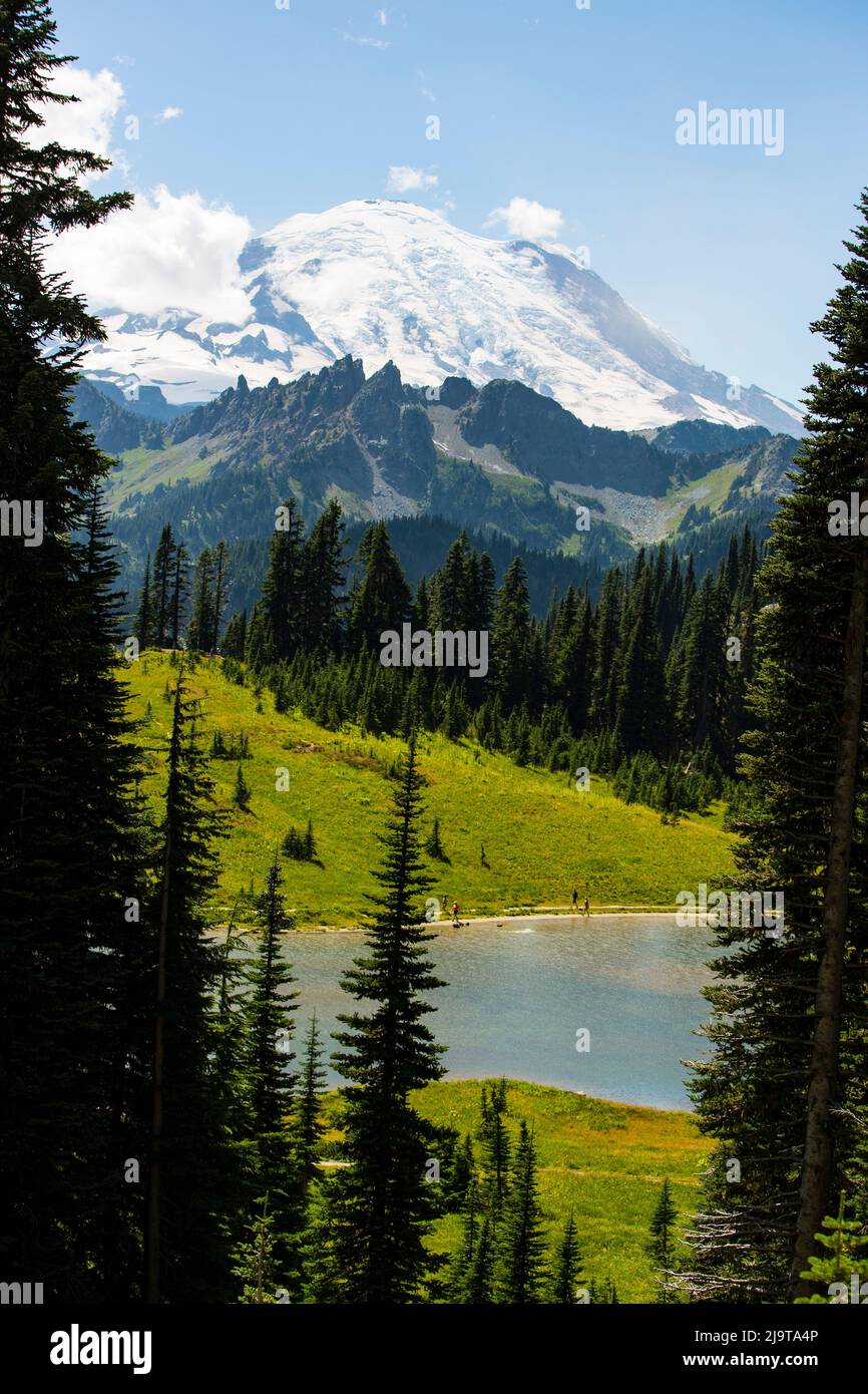 Chinook Pass, Staat Washington, USA. Mount Rainier, Tipsoo Lake Stockfoto