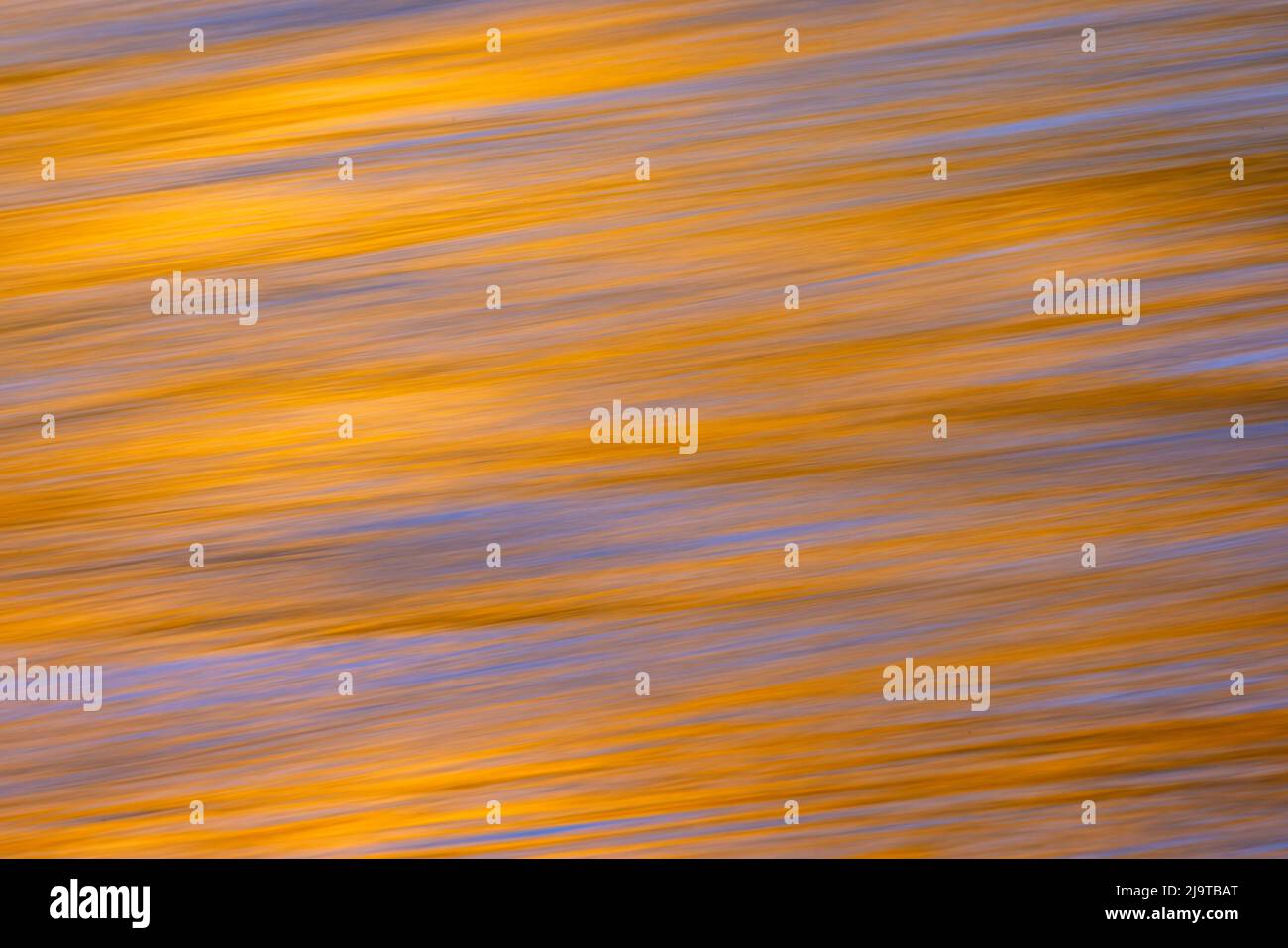 Sonnenuntergangsfarben und Bäume spiegeln sich auf dem Snake River, dem Grand Teton National Park, Wyoming Stockfoto