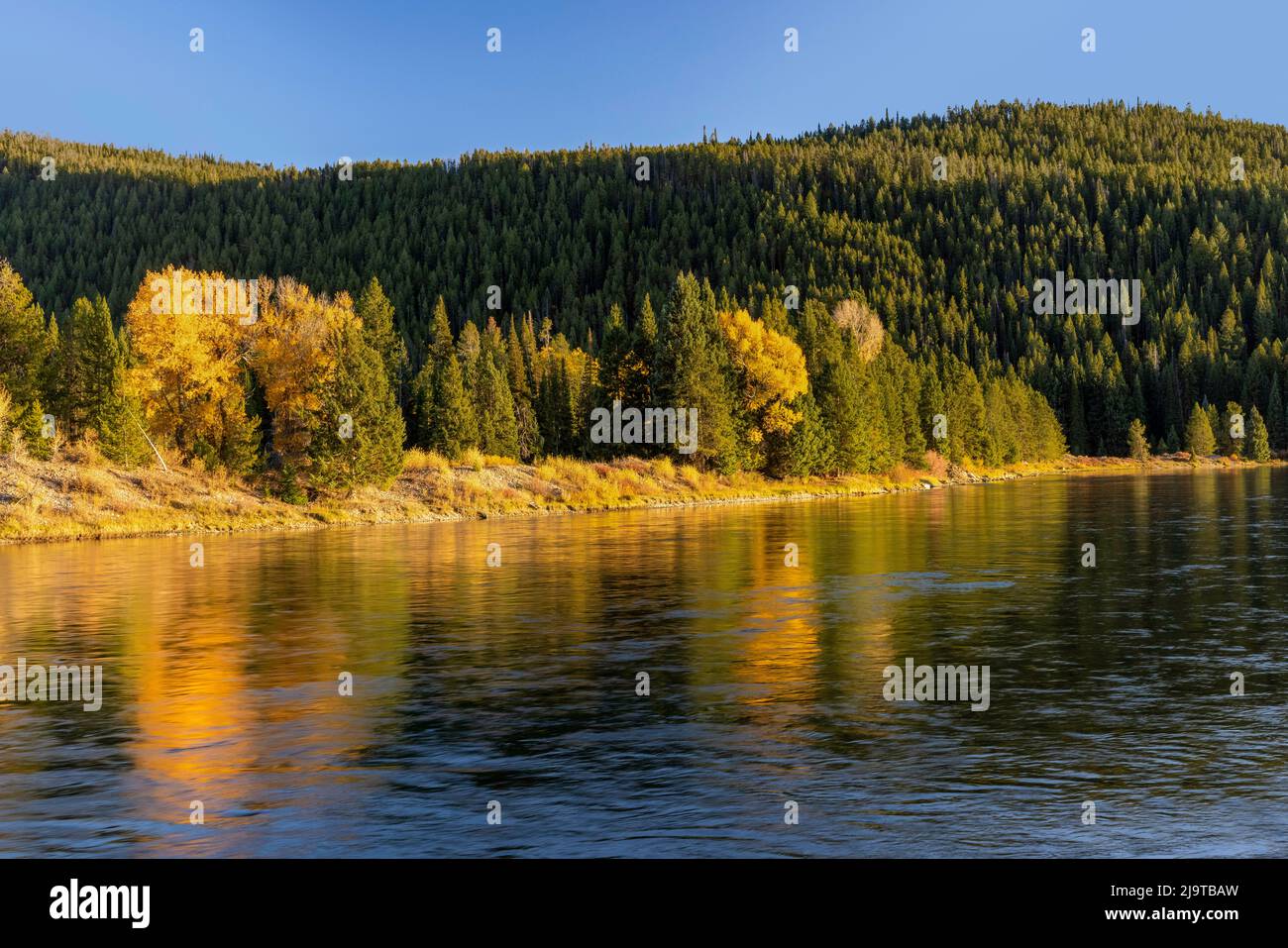 Sonnenuntergangsfarben und Bäume spiegeln sich auf dem Snake River, dem Grand Teton National Park, Wyoming Stockfoto