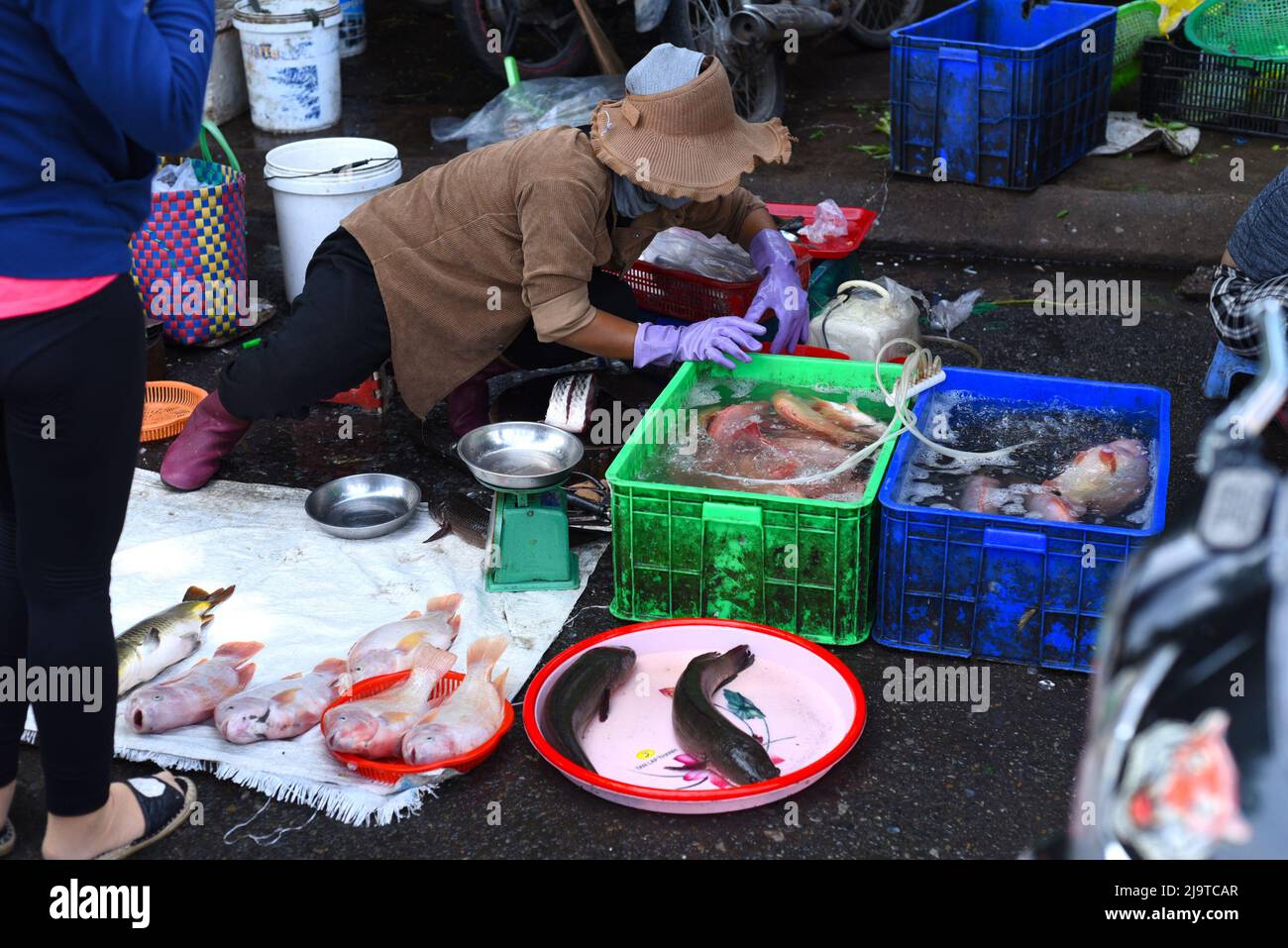 Nha Trang, Vietnam - 16. Mai 2022: vietnamesin verkauft frischen Fisch auf dem Vinh Hai Markt Stockfoto