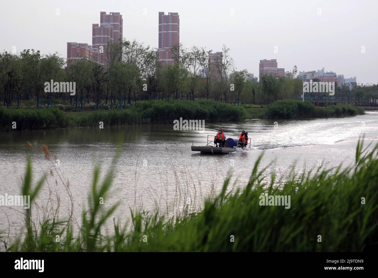 (220525) -- CANGZHOU, 25. Mai 2022 (Xinhua) -- Mitarbeiter reinigen den Wasserlauf des Großen Kanals in der Stadt Cangzhou, nordchinesische Provinz Hebei, 24. Mai 2022. (Xinhua/Luo Xuefeng) Stockfoto