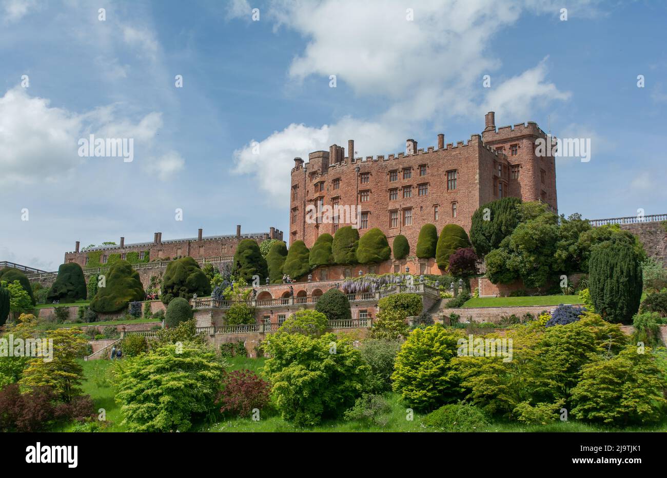 Dies ist das berühmte Powis Castle, das vom nationalen Trust betrieben wird.das Schloss in der Nähe von Welshpool Powys Mid Wales. Stockfoto