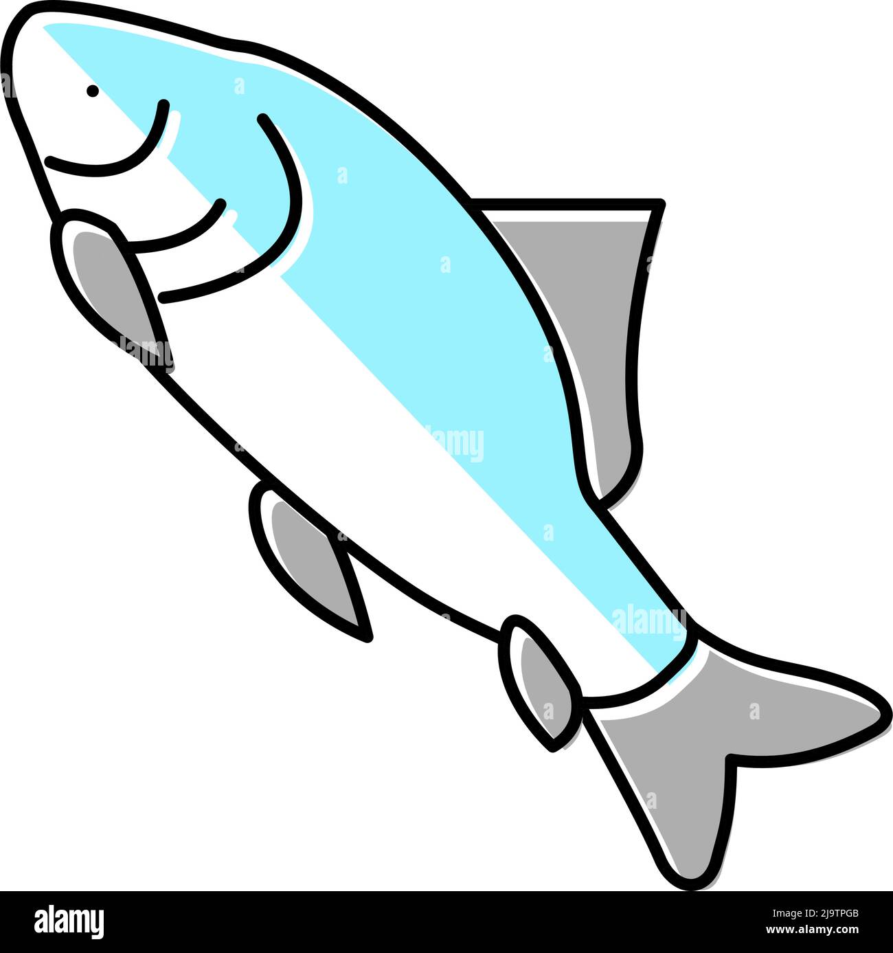 Catla Catla Fisch Farbe Symbol Vektor Illustration Stock Vektor