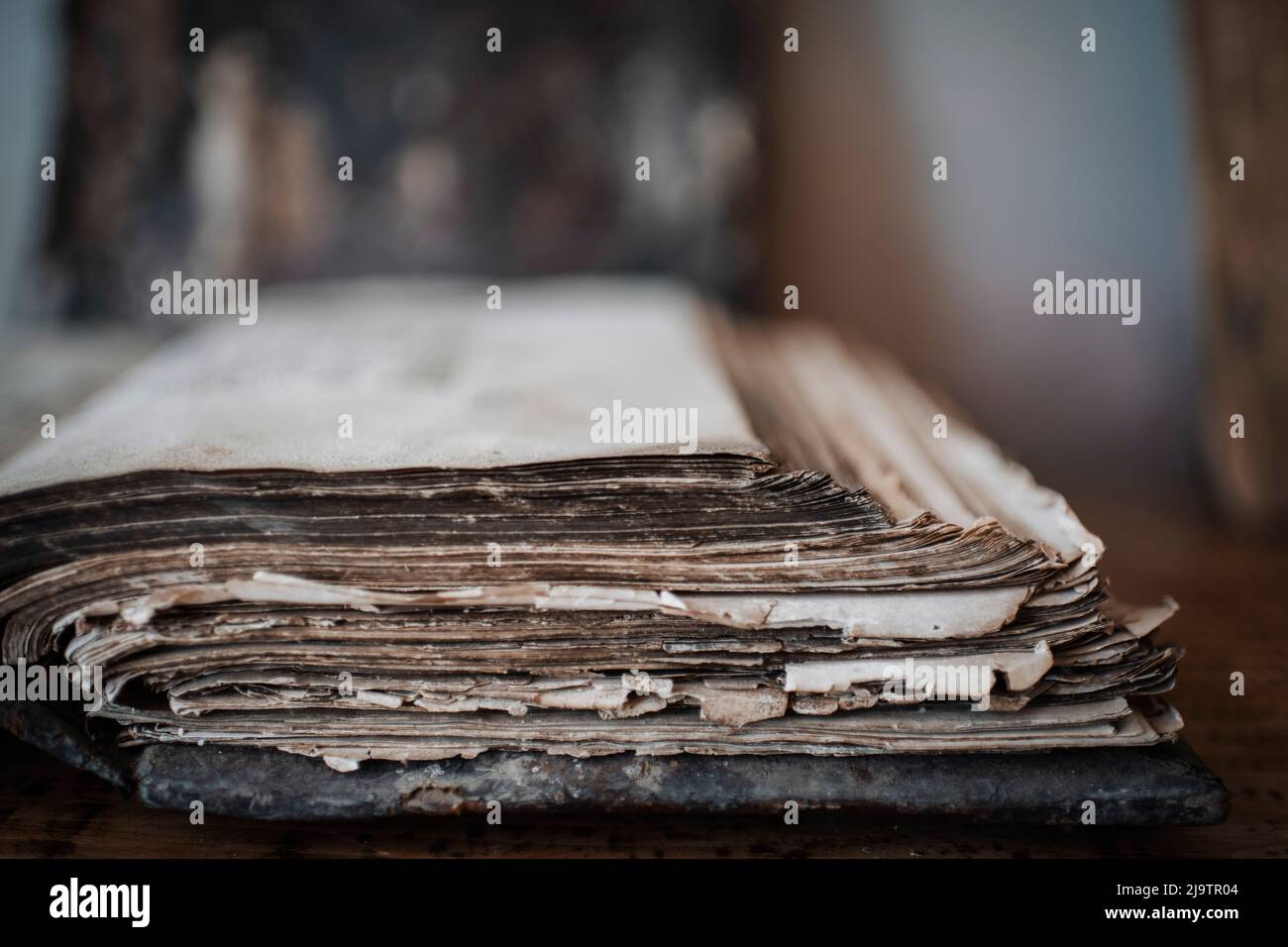 Bücher der Altgläubigen im Museum von Wylkove, Oblast Odesa, Ukraine. Alte Gläubige (oder Lipovaner) machen etwa 70 % der Bevölkerung von Vylkove aus. Stockfoto