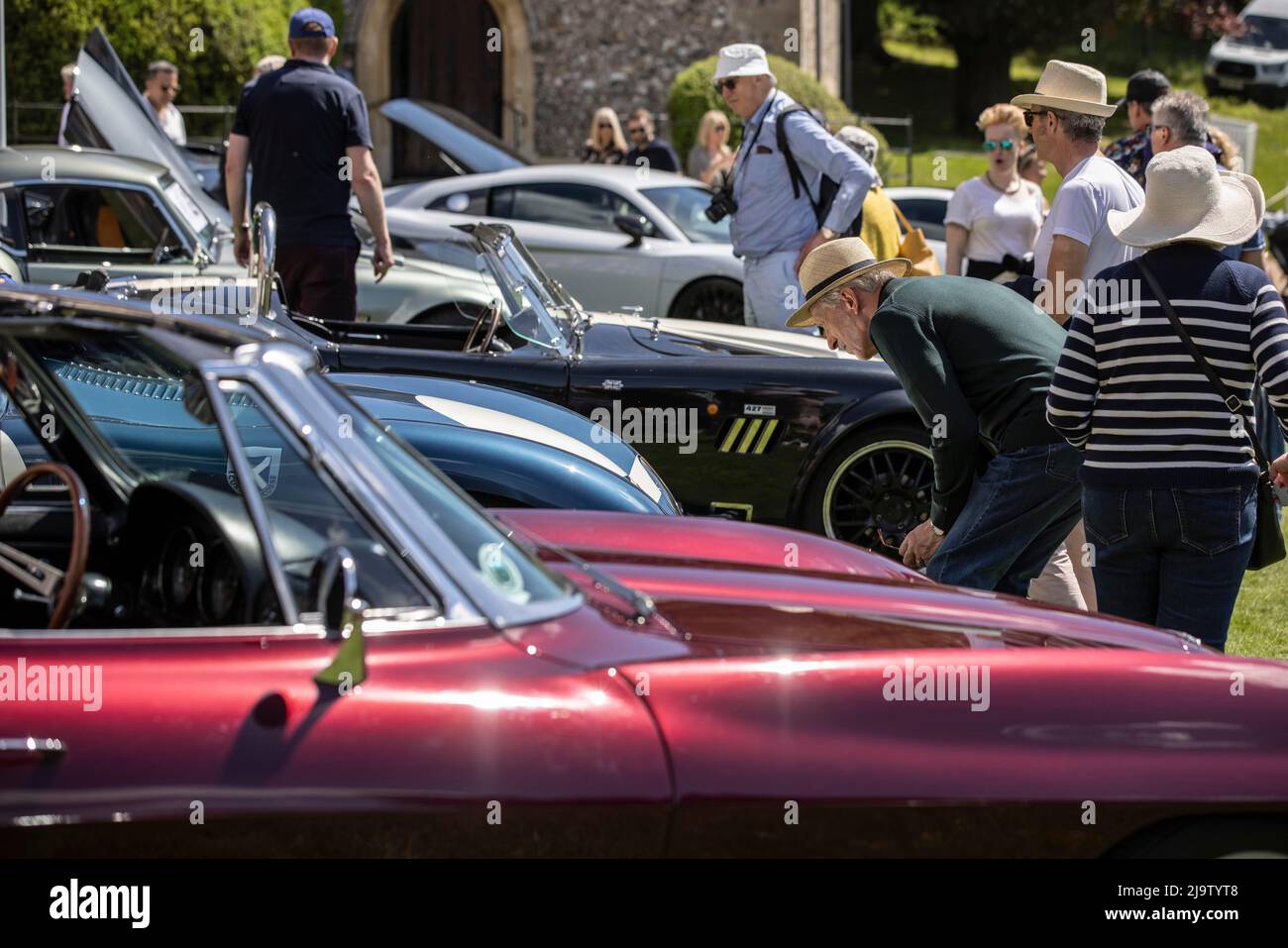 Autofans genießen das warme Wetter beim Supercars & Classics Weekend im Stoner Park, Oxfordshire, Großbritannien Stockfoto