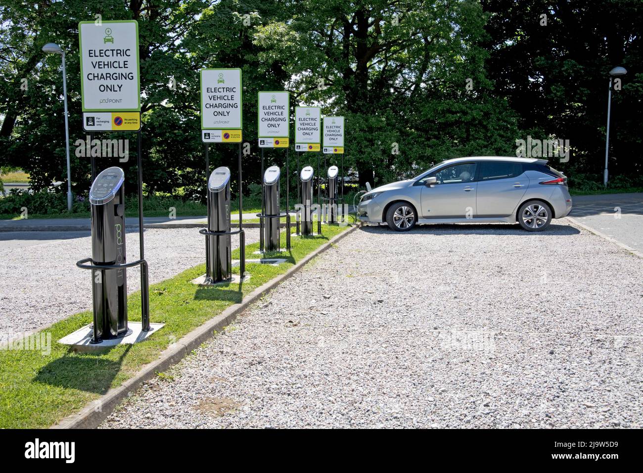 Laden von Elektroautos mit Nissan Leaf bei der Bank von Podpoint-Ladegeräten auf dem Penryn Campus der Falmouth University Cornwall UK Stockfoto