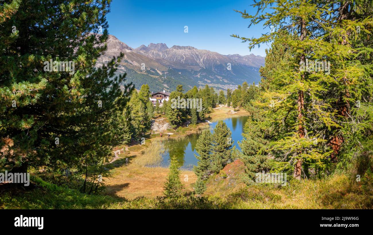 Hahnensee (Lej dals Chöds) ist ein See über St. Moritz (Grisons, Schweiz) auf einer Höhe von 2153 m. das Gebiet kann über mehrere Wanderwege erreicht werden. Stockfoto