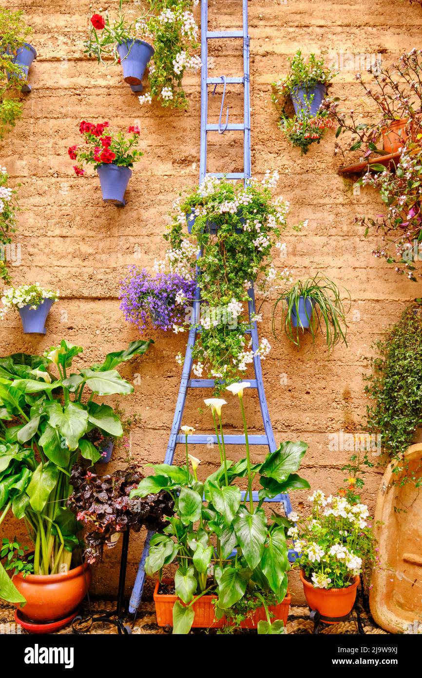 Ein traditioneller Patio von Cordoba, ein Innenhof voller Blumen und Frische. San Basilio, Alcazar Viejo. Andalusien, Spanien Stockfoto