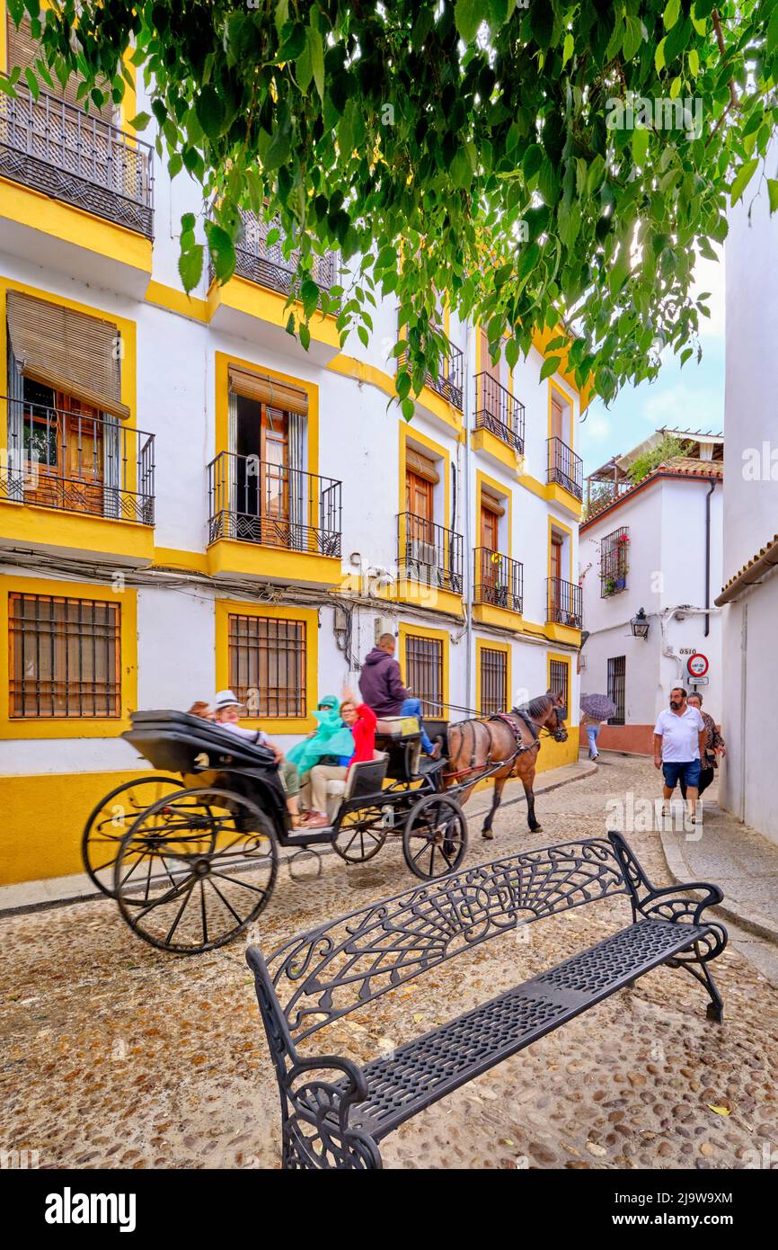 Altstadt von Cordoba während der Fiestas de los Patios. Andalusien, Spanien Stockfoto