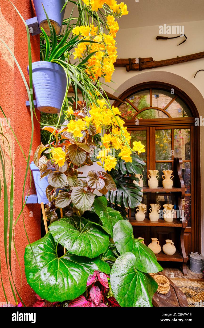 Detail auf einem traditionellen Patio von Cordoba, einem Innenhof voller Blumen und Frische. San Basilio, Andalusien, Spanien Stockfoto