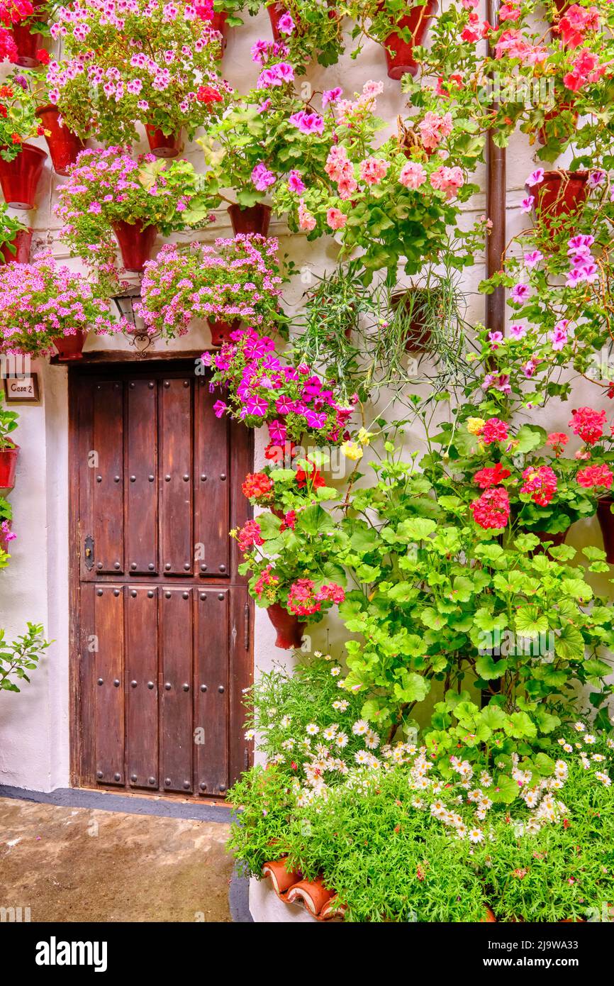 Ein traditioneller Patio von Cordoba, ein Innenhof voller Blumen und Frische. Ein immaterielles UNESCO-Kulturerbe der Menschheit. San Basilio Stockfoto