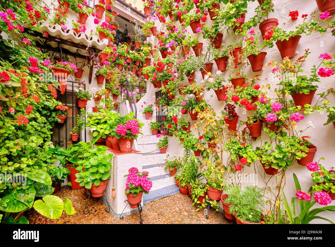 Ein traditioneller Patio von Cordoba, ein Innenhof voller Blumen und Frische. Casa-Patio 'El Langosta'. San Basilio. Andalusien, Spanien Stockfoto