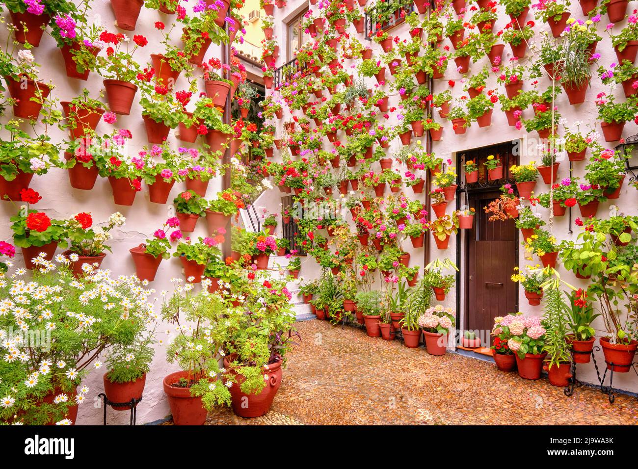 Ein traditioneller Patio von Cordoba, ein Innenhof voller Blumen und Frische. Casa-Patio 'El Langosta'. San Basilio. Andalusien, Spanien Stockfoto