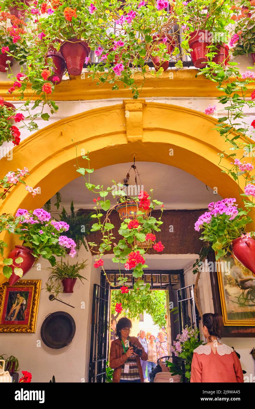 Eingang zu einem privaten Haus mit einer wunderschönen Terrasse voller Blumen und Frische. Cordoba, Andalusien. Spanien Stockfoto