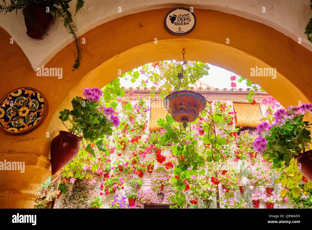 Eingang zu einem privaten Haus mit einer wunderschönen Terrasse voller Blumen und Frische. Cordoba, Andalusien. Spanien Stockfoto