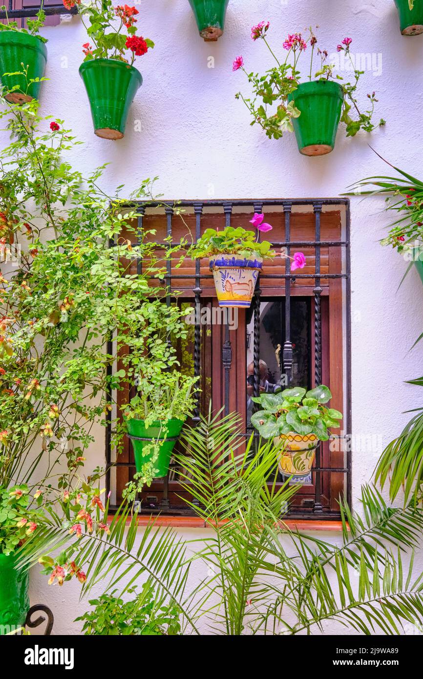 Detail eines traditionellen Patio von Cordoba, ein Innenhof voller Blumen und Frische. Andalusien, Spanien Stockfoto