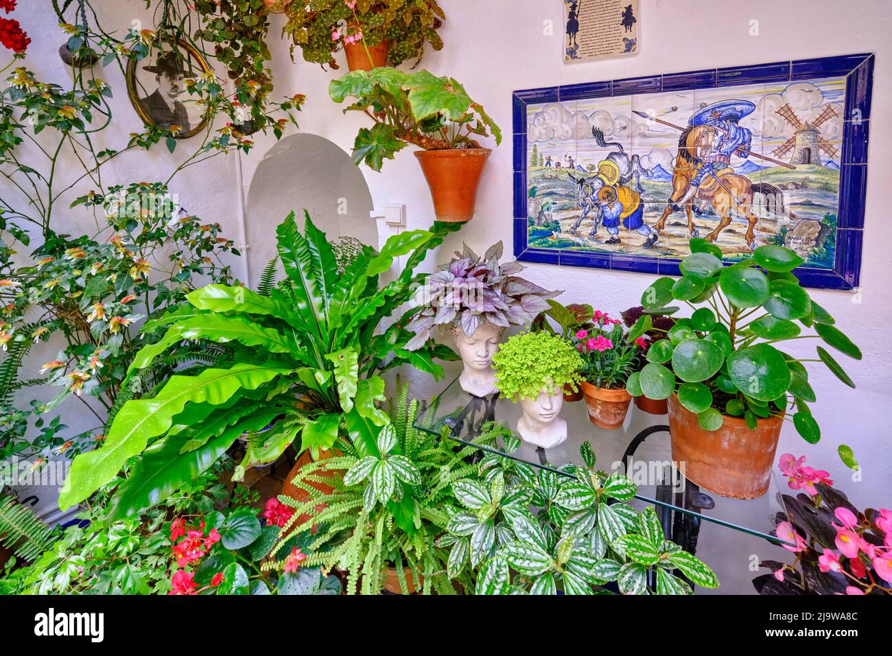 Detail eines traditionellen Patio von Cordoba, ein Innenhof voller Blumen und Frische. Andalusien, Spanien Stockfoto