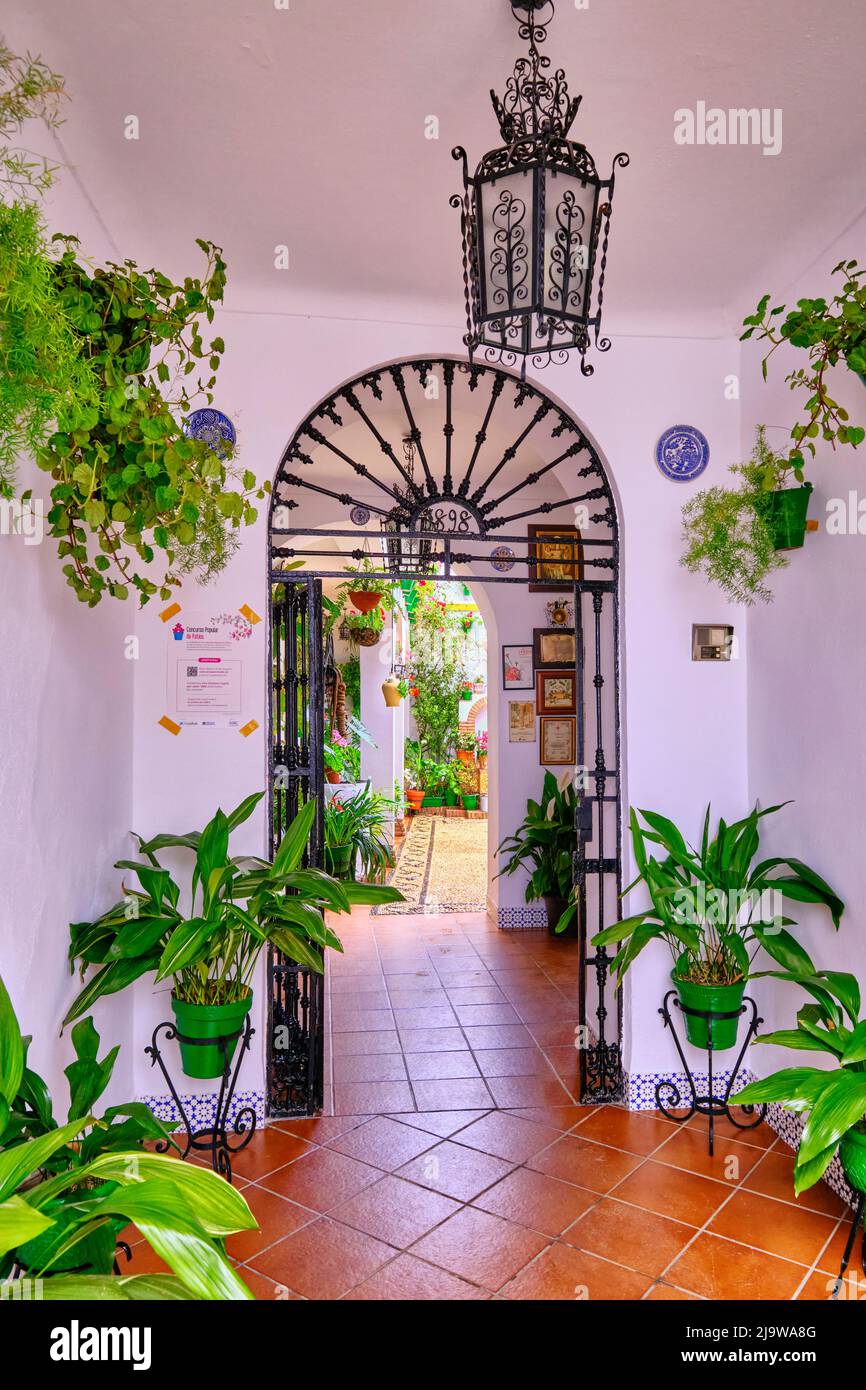 Eingang zu einem privaten Haus mit einer wunderschönen Terrasse voller Blumen und Frische. Cordoba, Andalusien. Spanien Stockfoto