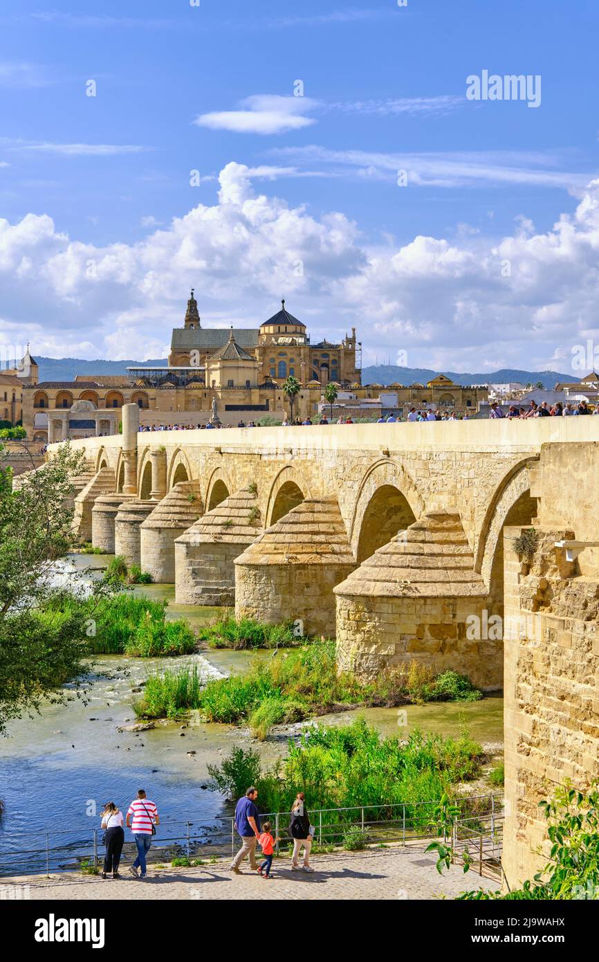 Die römische Brücke (Puente Romano) über den Guadalquivir-Fluss und die Mezquita-Kathedrale. Cordoba ist ein UNESCO-Weltkulturerbe. Andalusien, Spanien Stockfoto