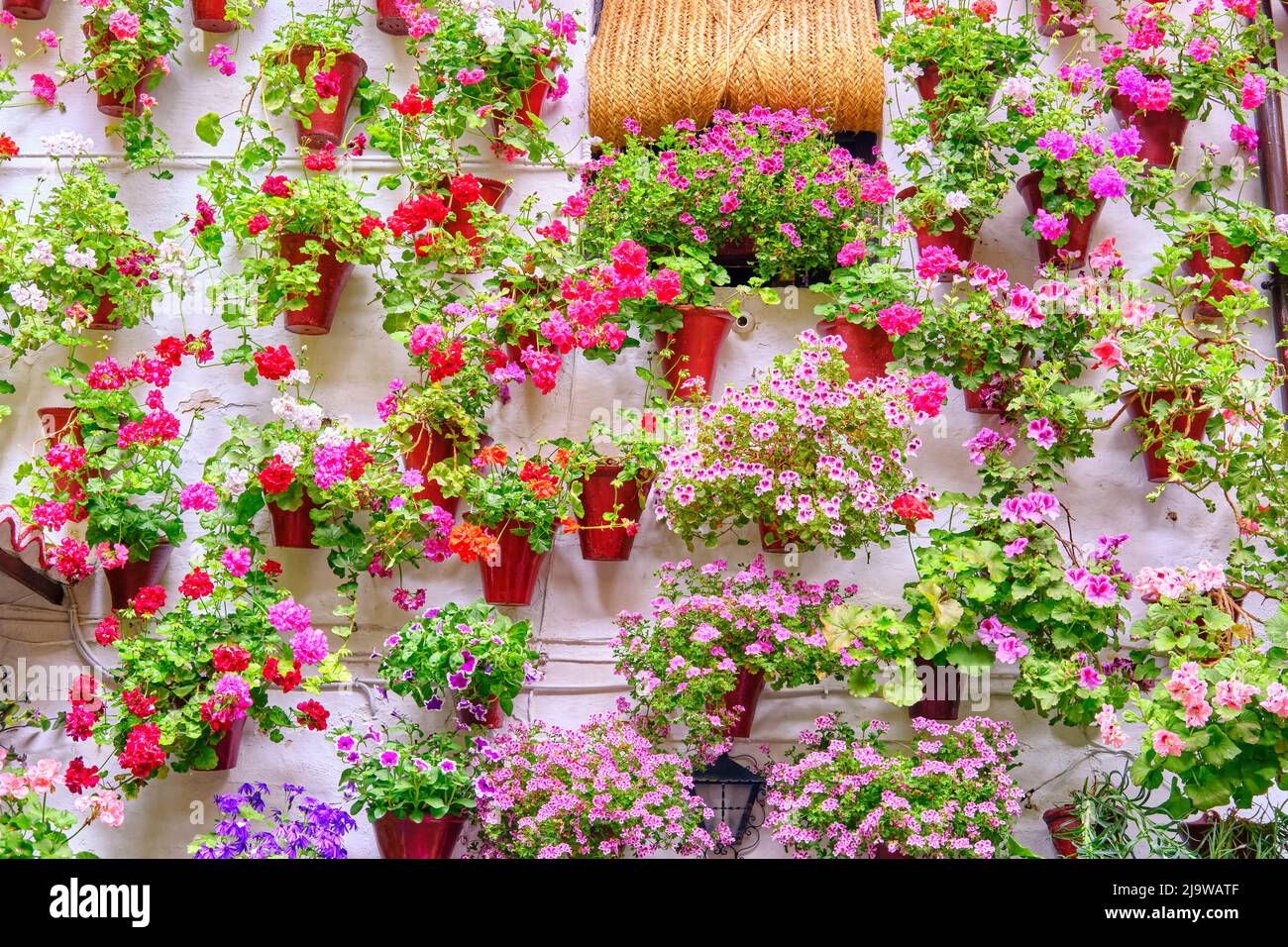 Ein traditioneller Patio von Cordoba, ein Innenhof voller Blumen und Frische. Ein immaterielles UNESCO-Kulturerbe der Menschheit. Martin de Roa, 7, San Ba Stockfoto