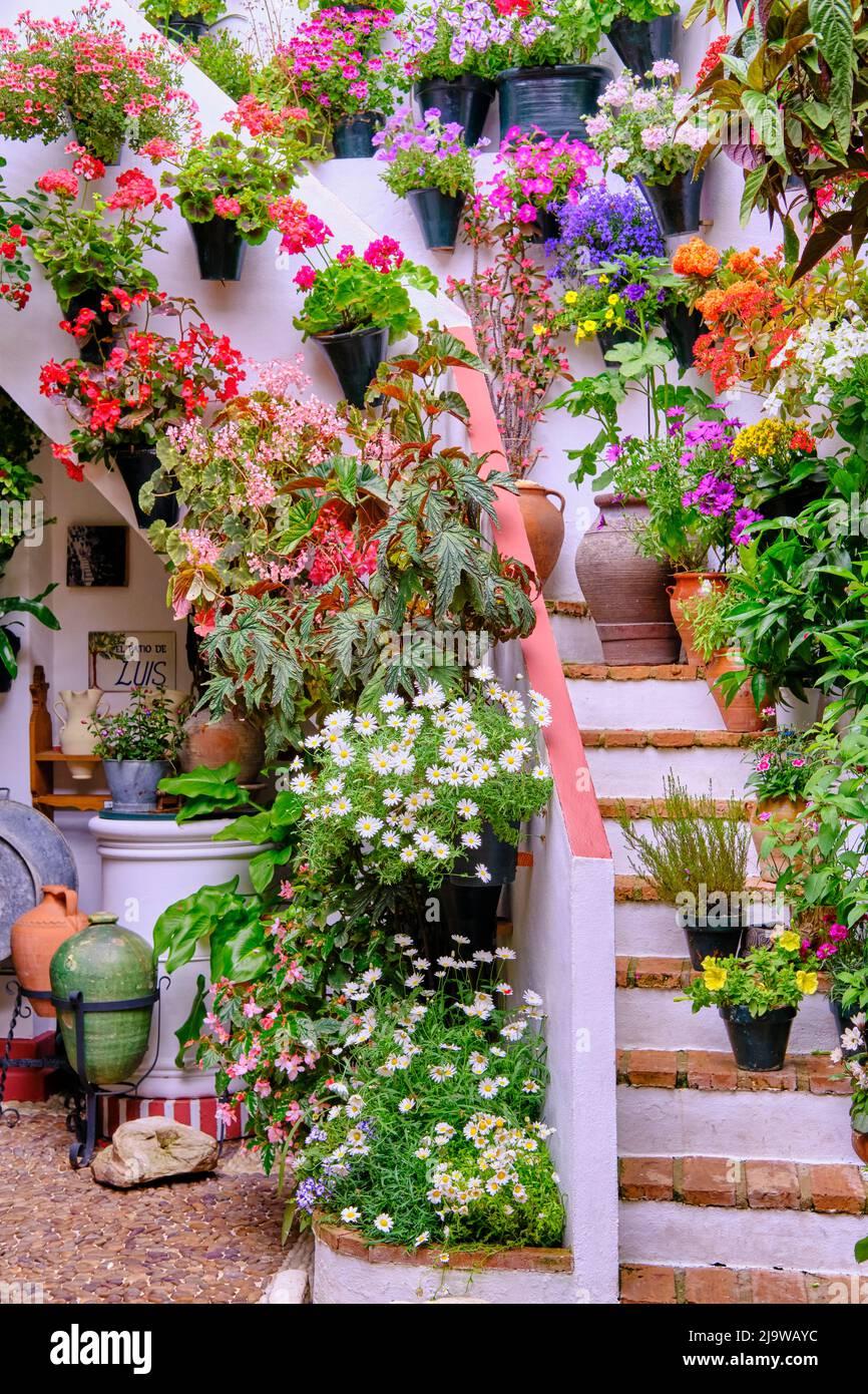 Ein traditioneller Patio von Cordoba, ein Innenhof voller Blumen und Frische. Ein immaterielles UNESCO-Kulturerbe der Menschheit. Andalusien, Spanien Stockfoto