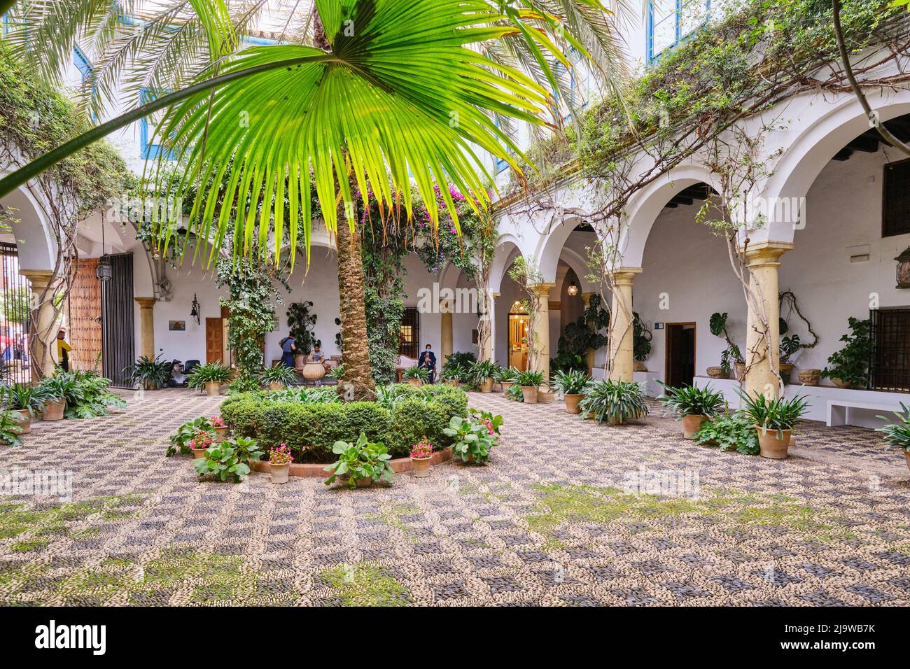 Haupthof des Palacio de Viana, ein Palast aus dem 14.. Jahrhundert. Cordoba, Andalusien, Spanien Stockfoto