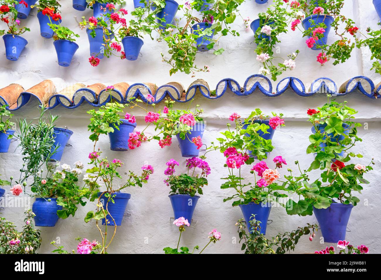 Ein Detail eines traditionellen Patio von Cordoba, ein Innenhof voller Blumen und Frische. Ein immaterielles UNESCO-Kulturerbe der Menschheit. Andalucia, S Stockfoto