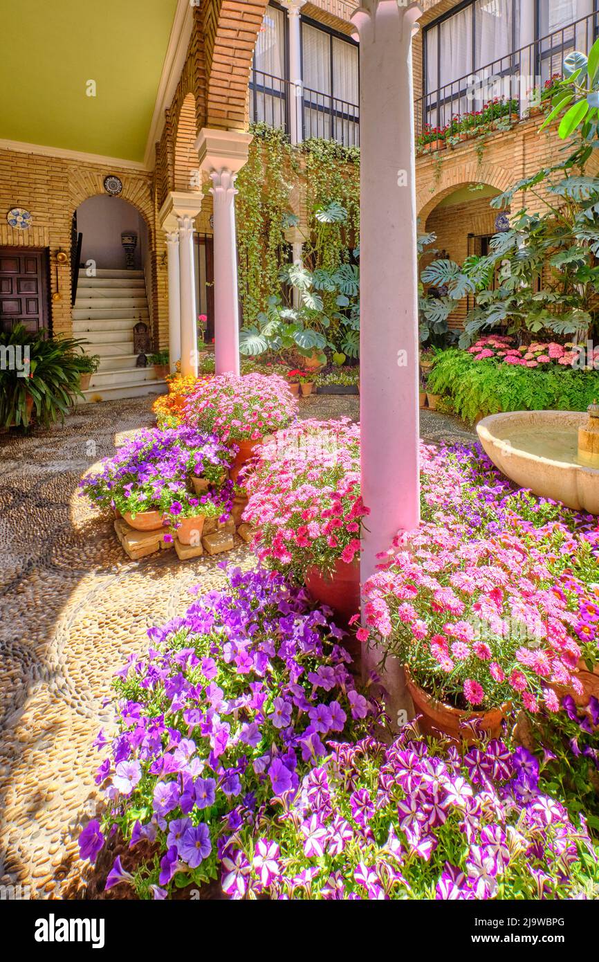 Detail eines traditionellen Patio von Cordoba, ein Innenhof voller Blumen und Frische. Ein immaterielles UNESCO-Kulturerbe der Menschheit. Spanien Stockfoto