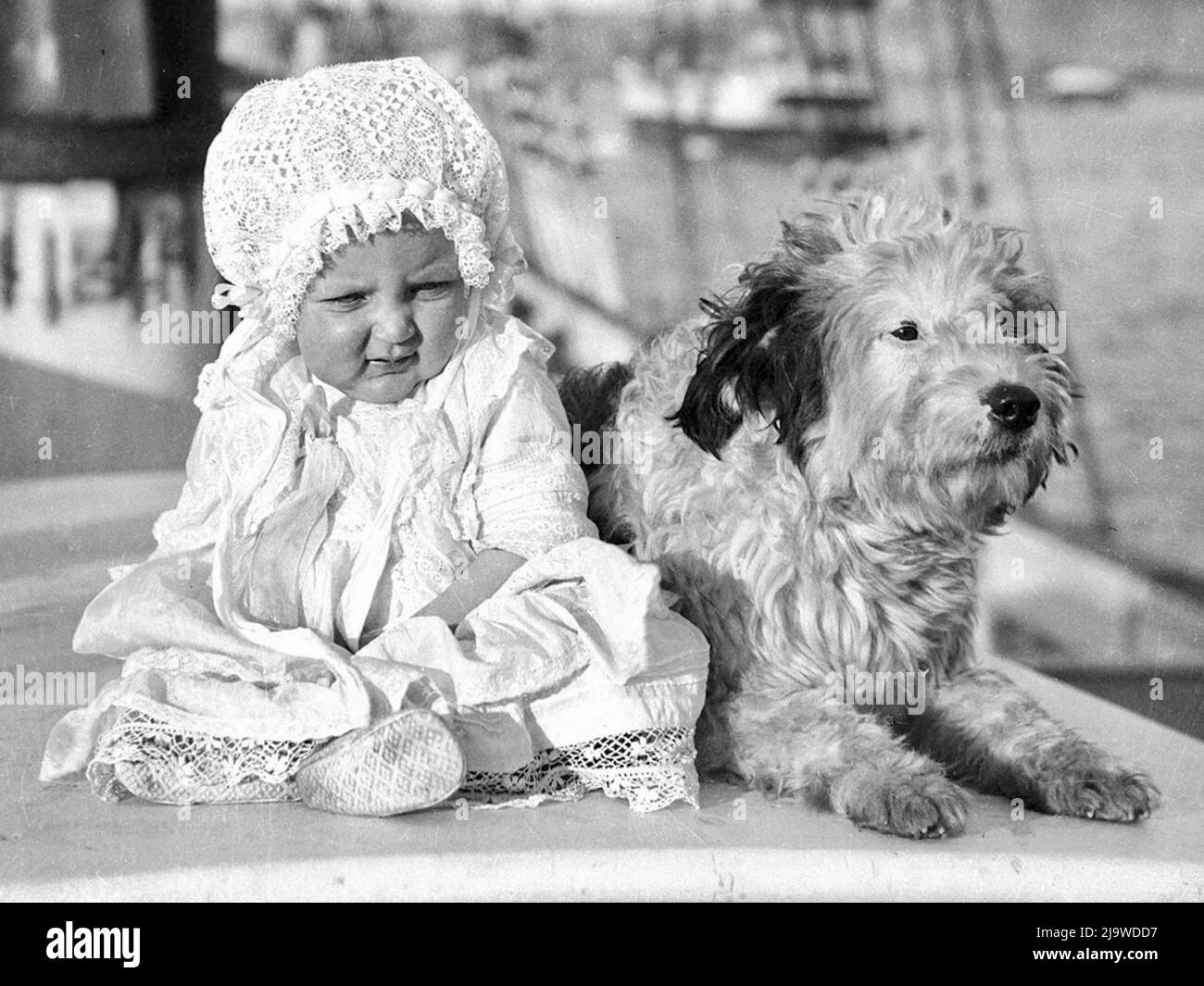 Sam Hood - Australisches Baby und ein Hund auf einem Segelschiff - 1910 Stockfoto