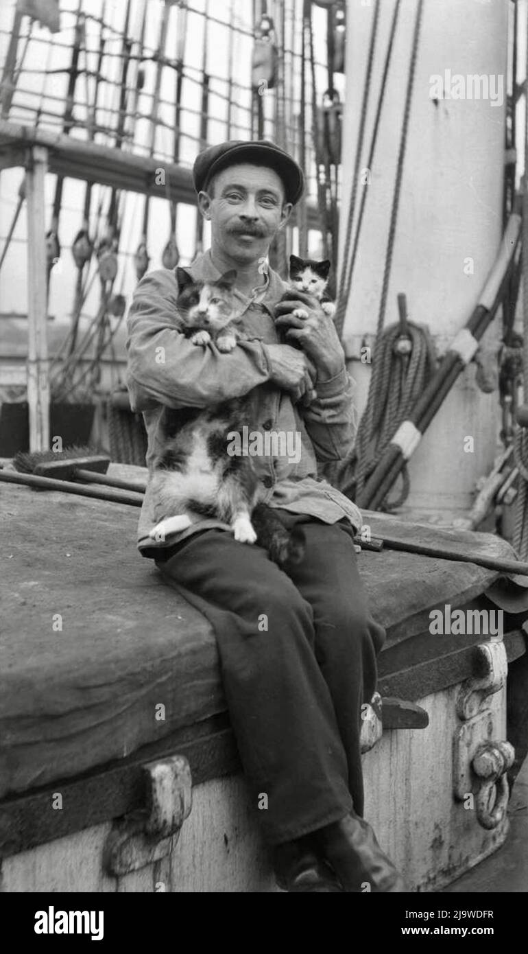 Sam Hood - Seaman with a Cat and Kitten - c1910 Stockfoto