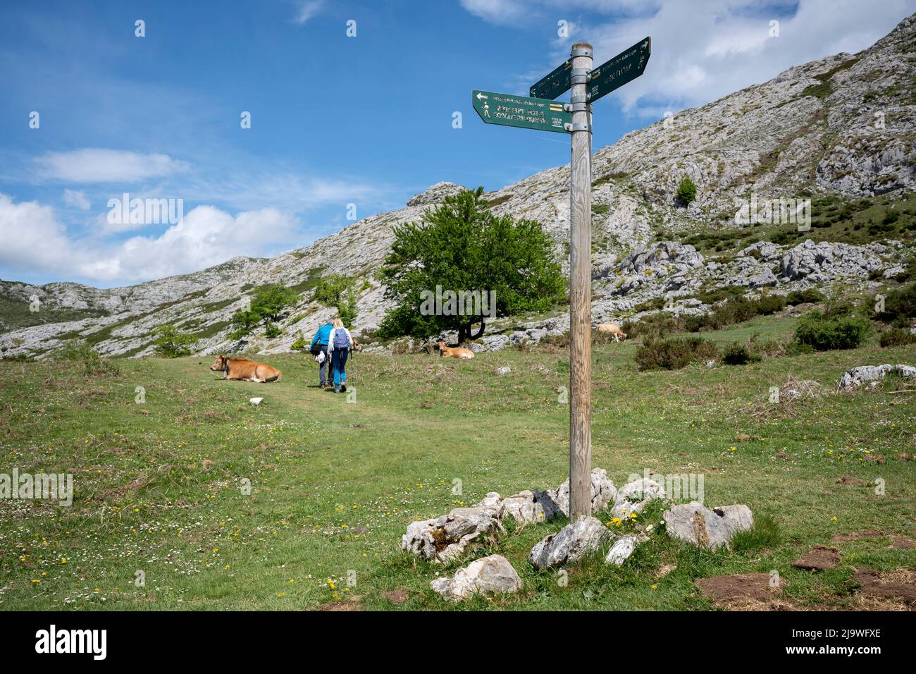 Am 16.. Mai 2022, Covadonga, Picos Mountains, Asturien, Spanien, hinterlassen Wanderer einen Wegweiser in der Nähe des spanischen Sees la Ecina im Nationalpark Picos de Europa. Die Seen Enol und Ercina sind die größten der Seen von Covadonga - zwei benachbarte Gletscherseen auf über 1000 Metern über dem Meeresspiegel. Stockfoto