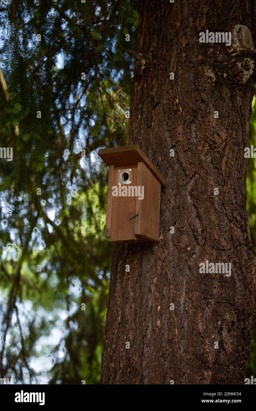 Ein geschlossenes Vogelhaus für kleine Vögel ist am Stamm eines Baumes befestigt. Stockfoto