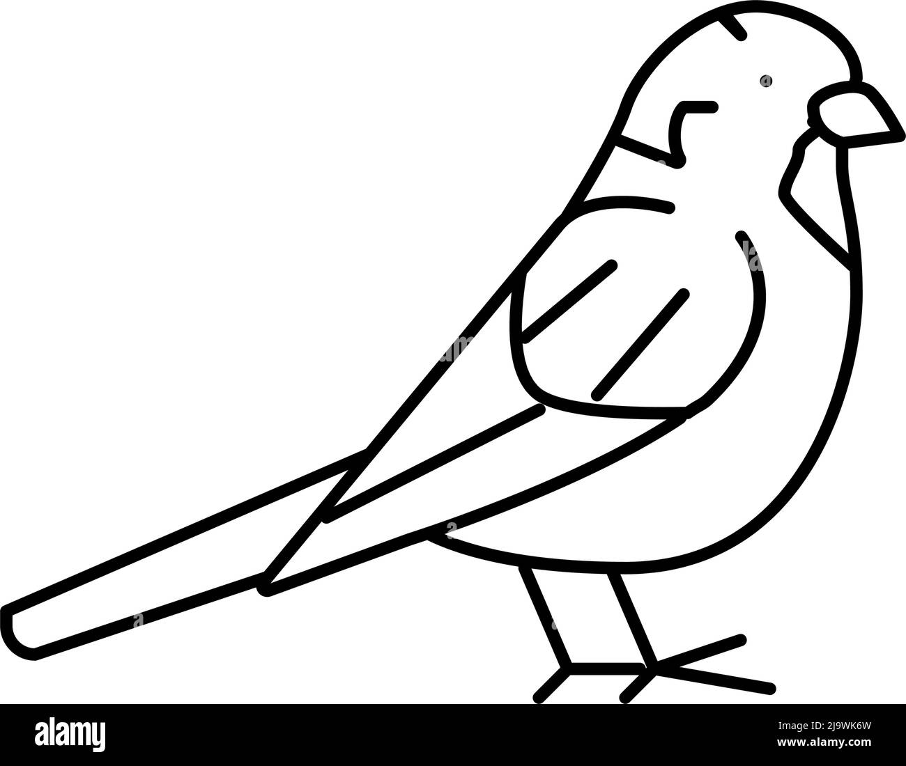 Abbildung des Symbols für die Spatz-Vogellinie Stock Vektor