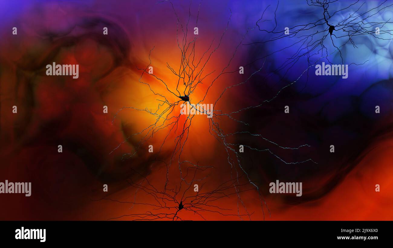 Synapse-Verbindungen. Struktur, die es einem Neuron (oder Nervenzelle) ermöglicht, ein elektrisches oder chemisches Signal an ein anderes Neuron zu übergeben. Nervensystem. Gehirn Stockfoto